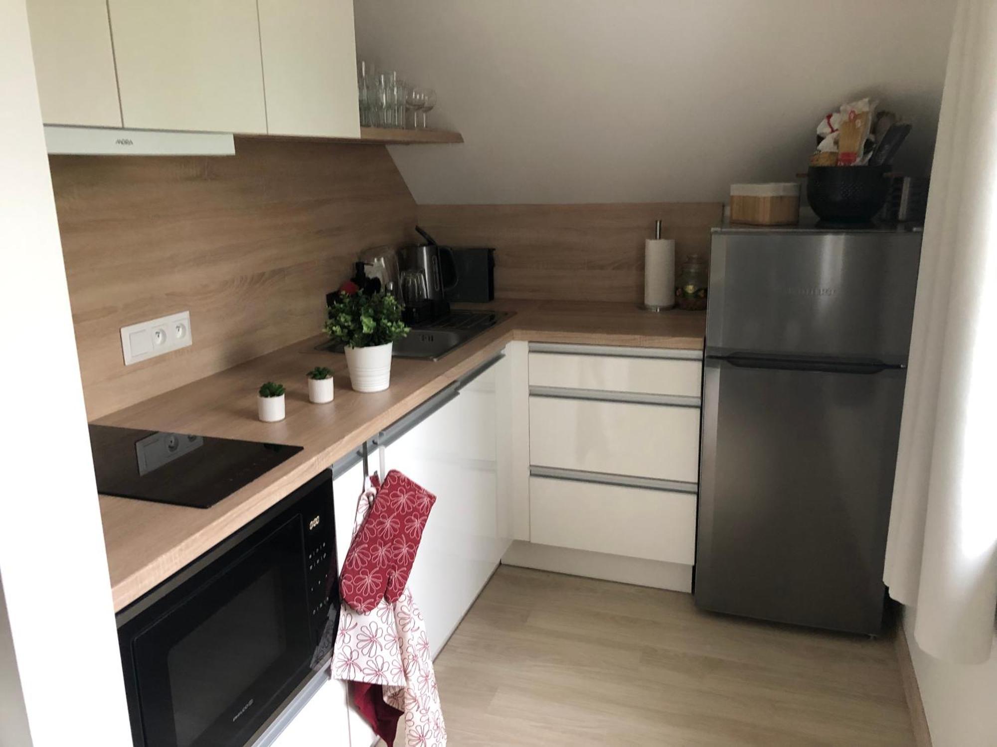 Apartman Krusne Hory - Erzgebirge Horní Blatná Εξωτερικό φωτογραφία